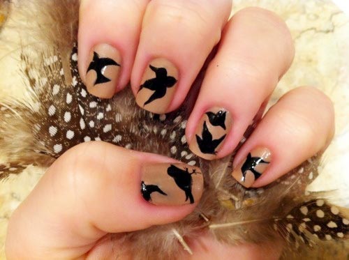birds nails